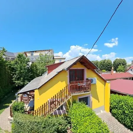 Pink Tulip House